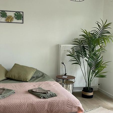 Studio T A 5Mn Euro Airport Avec Terrasse Saint-Louis  Kültér fotó