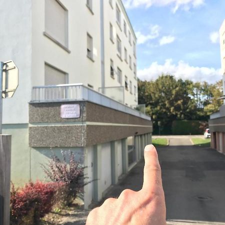 Studio T A 5Mn Euro Airport Avec Terrasse Saint-Louis  Kültér fotó