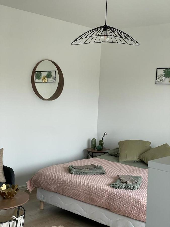 Studio T A 5Mn Euro Airport Avec Terrasse Saint-Louis  Kültér fotó