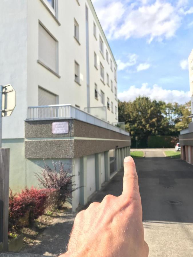 Studio T A 5Mn Euro Airport Avec Terrasse Saint-Louis  Kültér fotó
